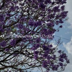 Magminha (feat. Leo R)