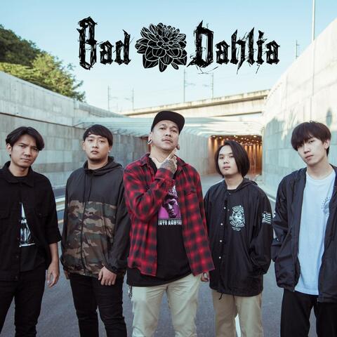 Bad Dahlia