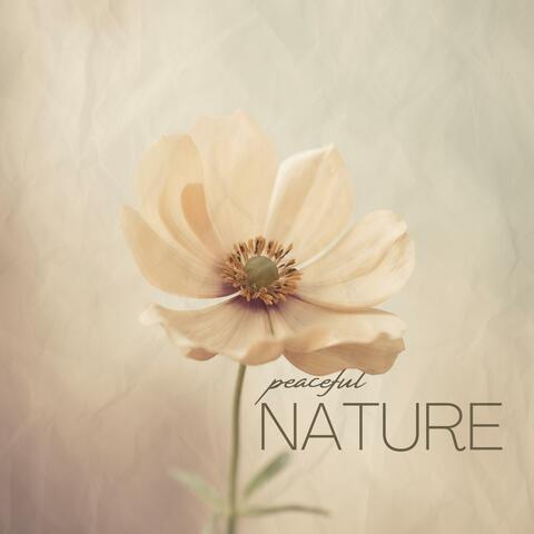 Peaceful Nature