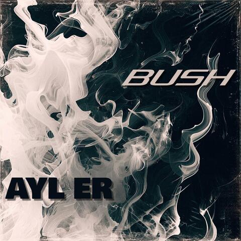 Ayl er