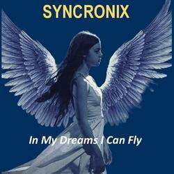 In My Dreams I Can Fly