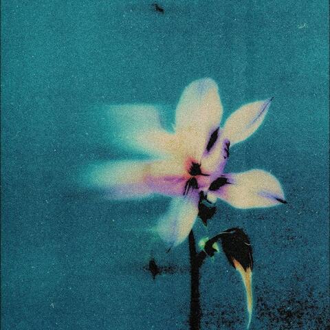 Tabletop Conversations