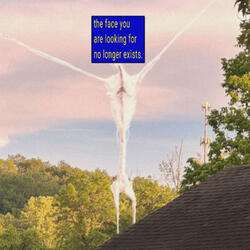 HEADLESS MACROCOSM