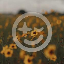 741 Hz Peaceful Mind, Restful Sleep