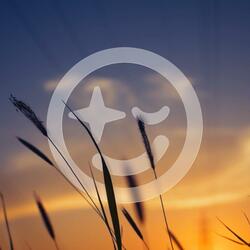 852 Hz Quiet the Noise for Deep Sleep