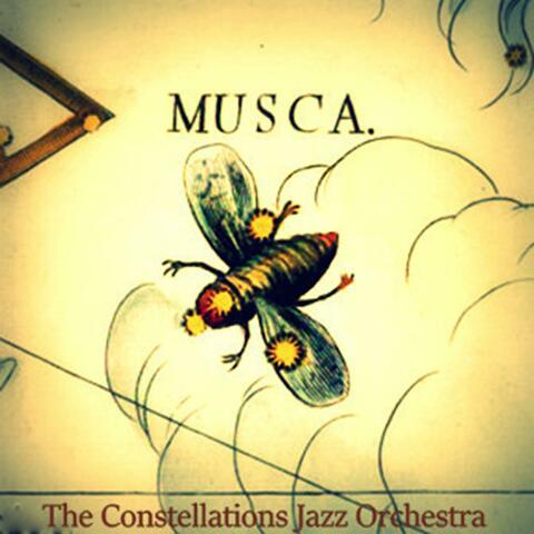 Musca