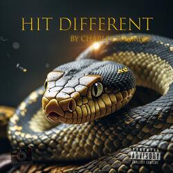 Hit Different (feat. Charles Summers)