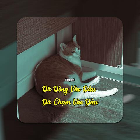 Đã Động Vào Đâu Đã Chạm Vào Đâu
