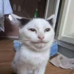 Silly (Goblin Version) (feat. FroyoAnto)