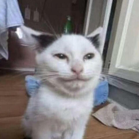 Silly (Goblin Version) (feat. FroyoAnto)