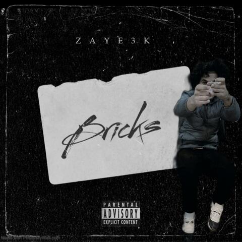 Bricks