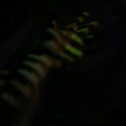 TIME FLIES (feat. Gem333)