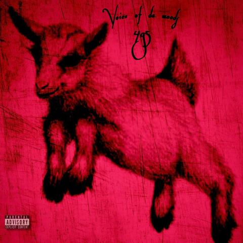 VOICE OF DA WOODS