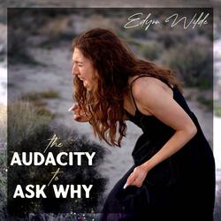 The Audacity To Ask Why (feat. summerscapes)