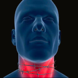 Zozoland