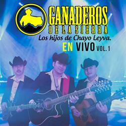 Cortinas Guindas (En vivo)