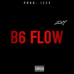 B6 Flow