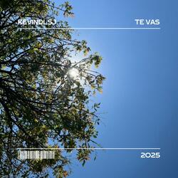 Te Vas