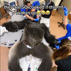 Retarted,...Kinda