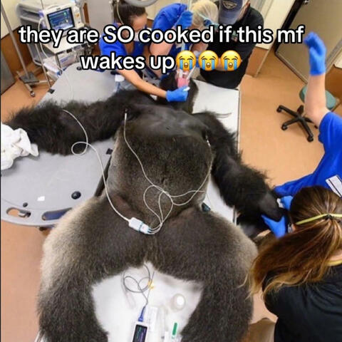 Retarted,...Kinda