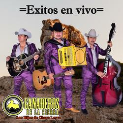 El Numero 1 (En vivo)