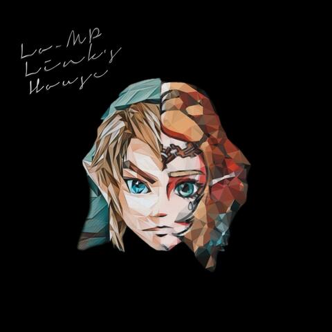 Random Access Link's House