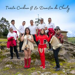 Mix Fiesta Chichera (feat. La Dinastía de Charly)