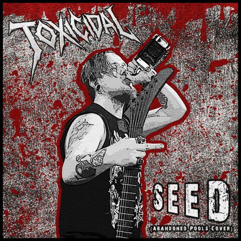 Seed