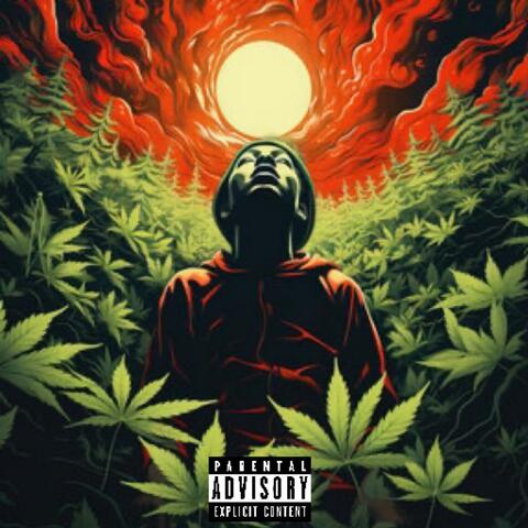 Pot head husler