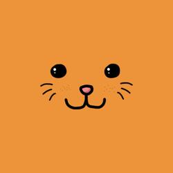 Meow or Never