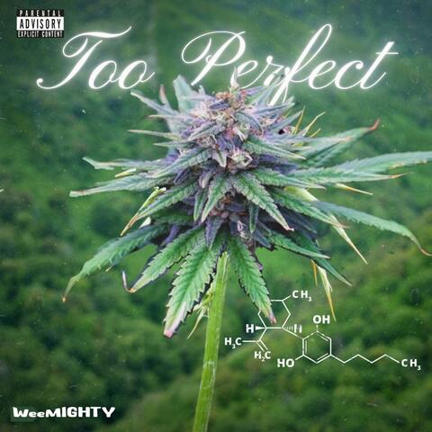 Too Perfect (feat. WeeMighty)