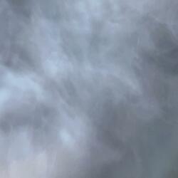 Heavenly Hotbox