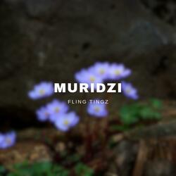 Muridzi