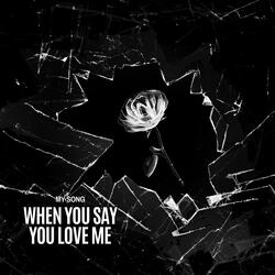 When You Say You Love Me