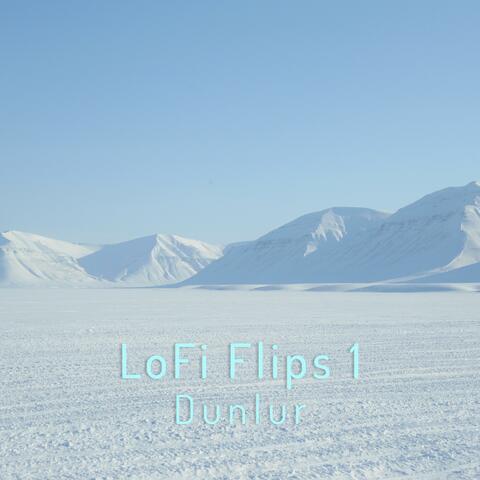 LoFi Flips 1