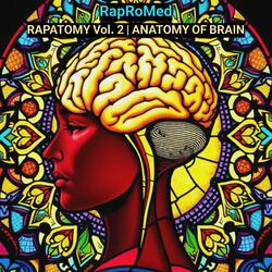 track12_Cerebellum and Brainstem | Clinical Overview