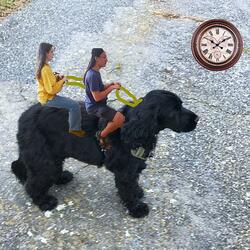 Le temps a galopé (feat. Tachy Bunker & Faustine Lewandowski)