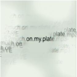 2much.on.my.plate.mp3