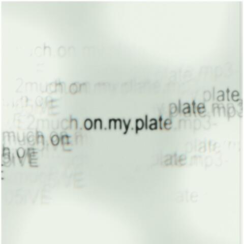 2much.on.my.plate.mp3