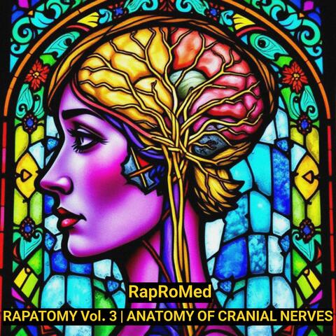 RAPATOMY Vol. 3 | Anatomy of Cranial Nerves