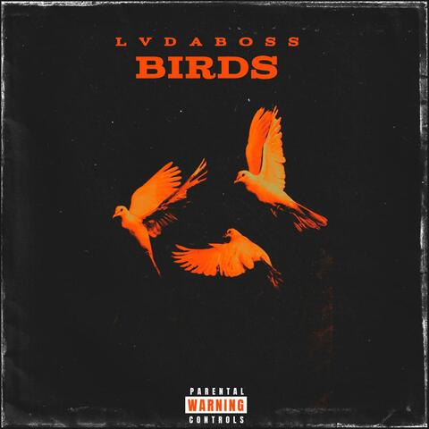 Birds (feat. JKUTZ )