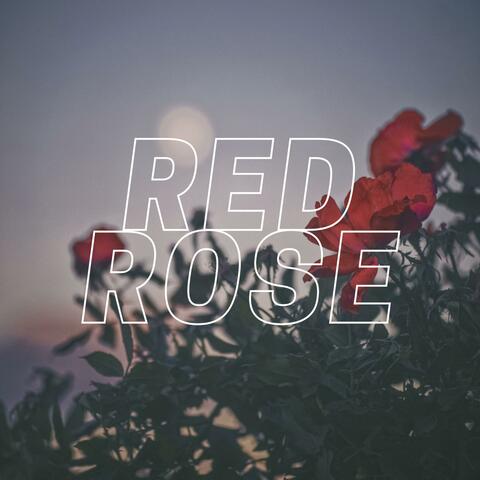 Red Rose