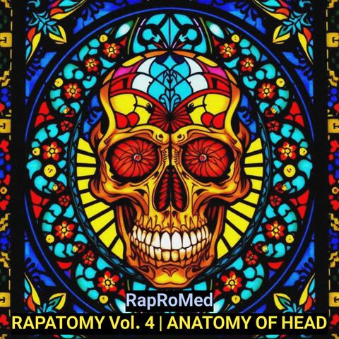 RAPATOMY Vol. 4 | Anatomy of Head