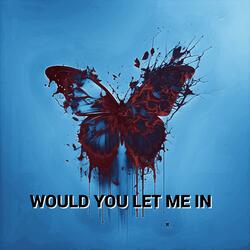 WOULD YOU LET ME IN