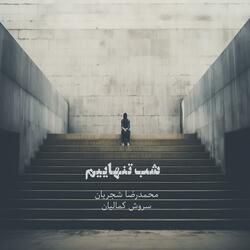 Shab-e Tanhaei (feat. Mohammadreza Shajarian)