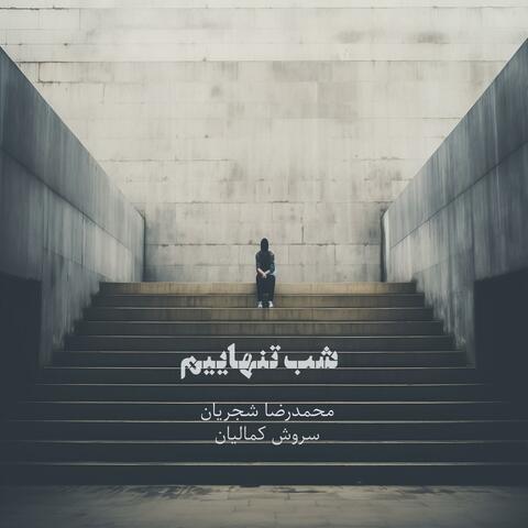 Shab-e Tanhaei (feat. Mohammadreza Shajarian)