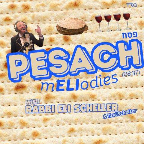Pesach mELIodies (feat. Rabbi Eli Scheller)