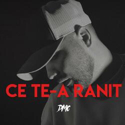 Ce te-a ranit