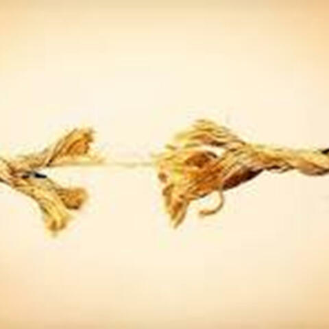 Bad Nerves