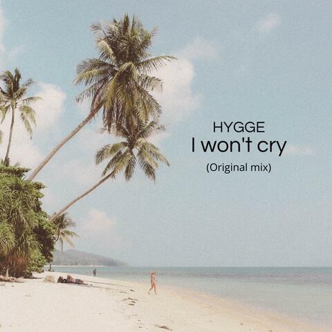 I Won't cry